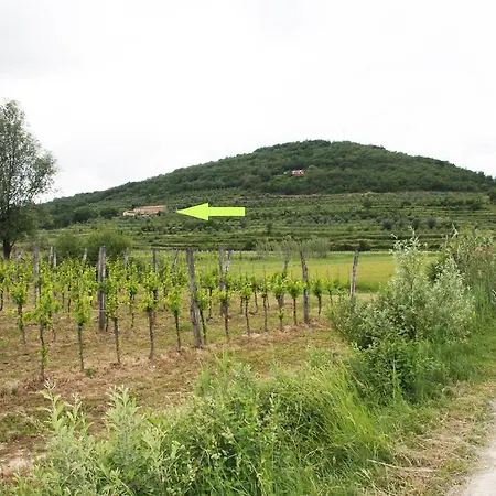 Apartamento Casa Vuki *