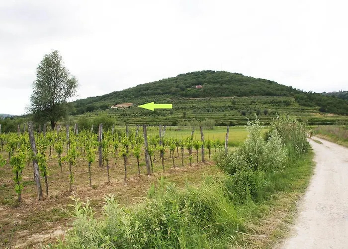 Διαμέρισμα Casa Vuki *