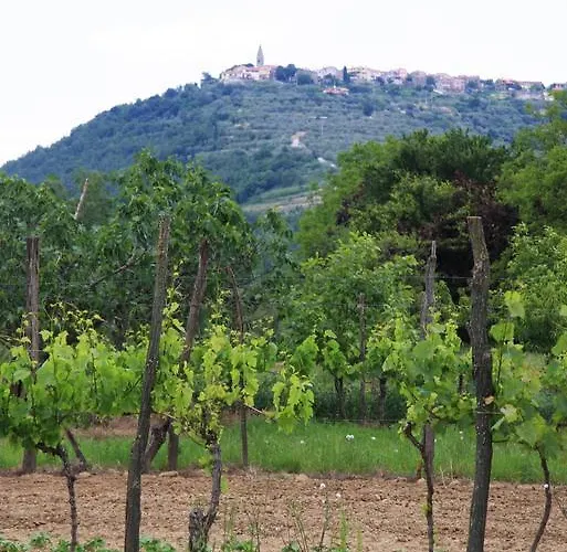 Casa Vuki * Sečovlje